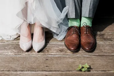 From Wedding Bliss to a Clean Exit: End of Lease Flea Control TricksIllustration